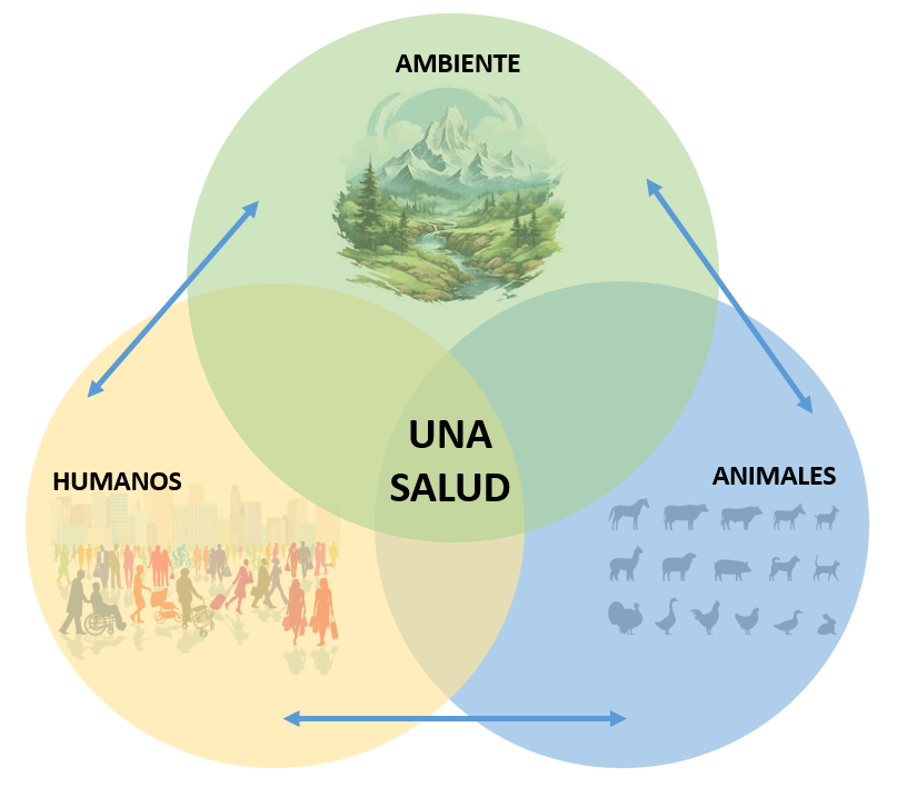 One Health Diagram: Environment, Humans and Animals