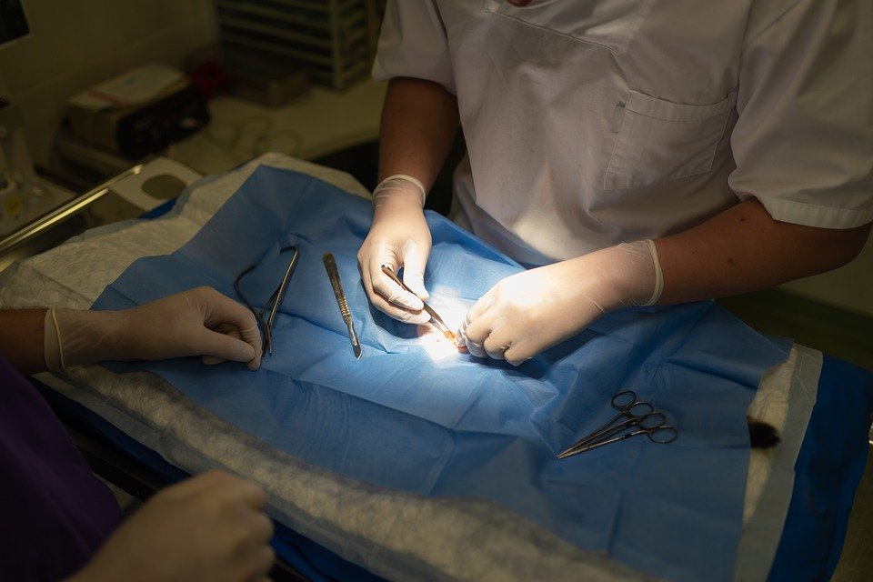 Instruments prepared for veterinary surgery at home